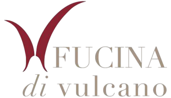 Sostenitori Associazione 20 Novembre 1989: fucina di vulcano